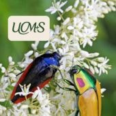 Partnerschaft auf Augenhöhe